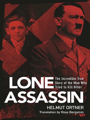 cover image of Lone Assassin